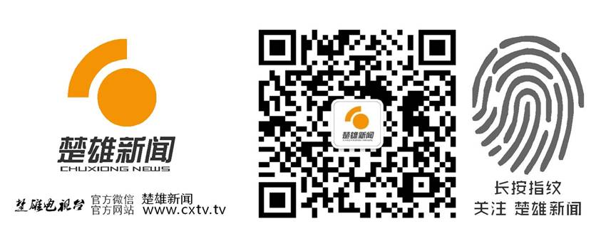 2021欧洲杯荷兰主教练是谁_08年欧洲杯荷兰队的主帅_欧洲杯荷兰球队队员