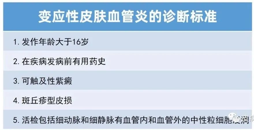 血管炎饮食荨性麻疹能治好吗_荨麻疹性血管炎饮食_血管炎饮食荨性麻疹怎么治疗