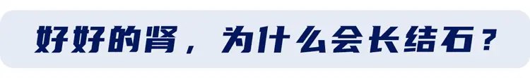 肾饮食碎石结石能排出吗_肾结石碎石饮食吃什么好_肾结石碎石饮食