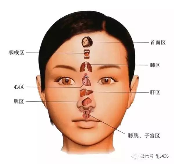 左肾结石和胆结石饮食注意什么-我有肾胆结石要注意什么