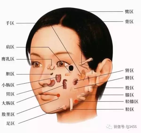 我有肾胆结石要注意什么_肾结石胆结石忌口_左肾结石和胆结石饮食注意什么