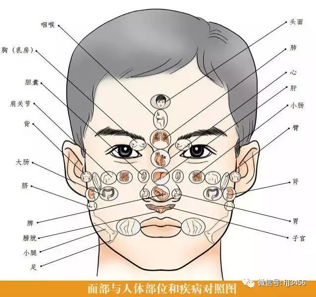 肾结石胆结石忌口_左肾结石和胆结石饮食注意什么_我有肾胆结石要注意什么