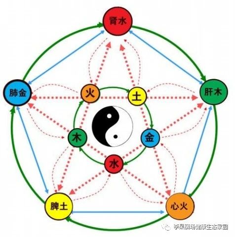 改革饮食前后开放变化的原因_改革开放前后饮食的变化_改革开放以来饮食变迁