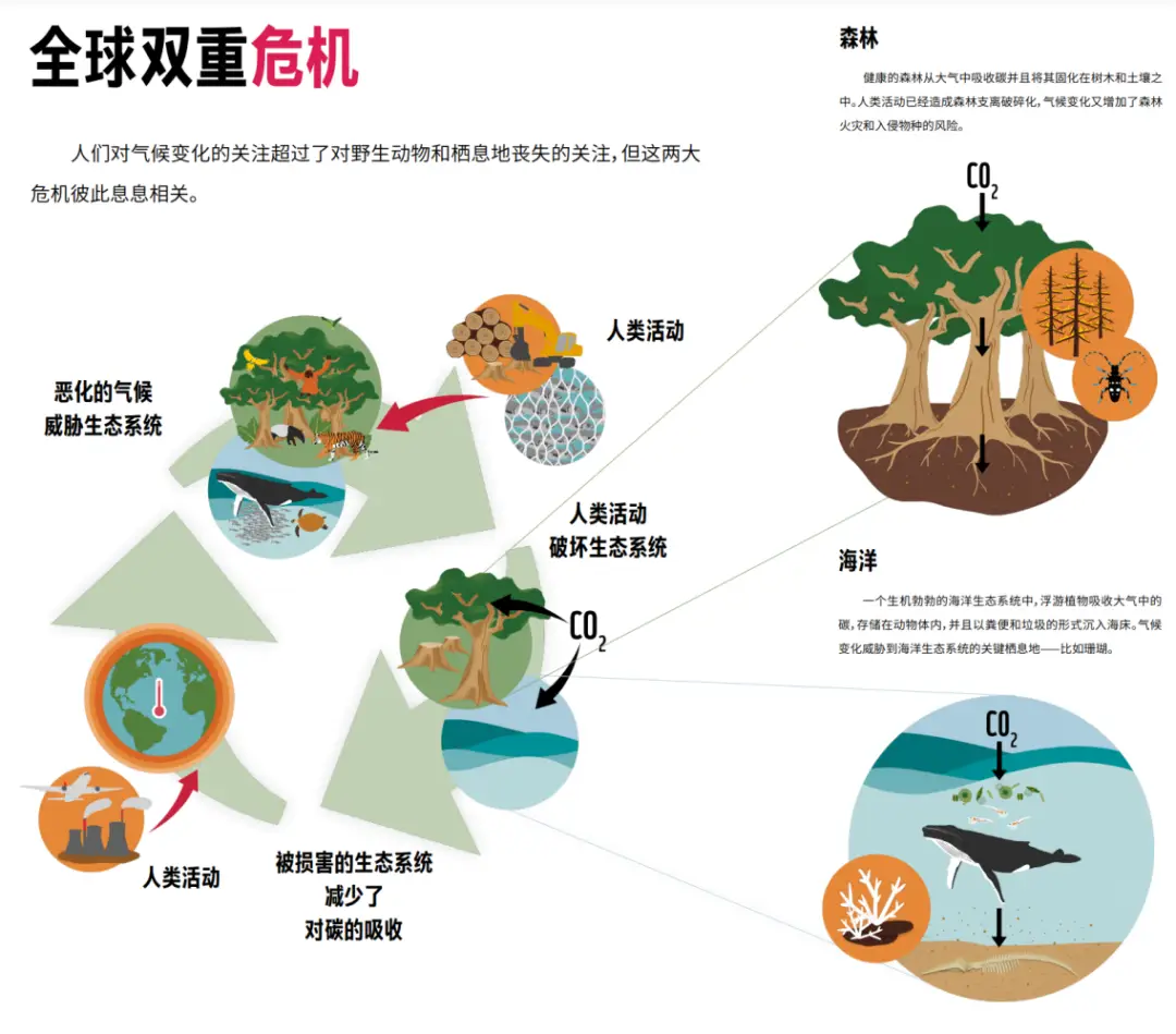 东北农村饮食生活_东北农村日常生活_东北农村的饮食特色