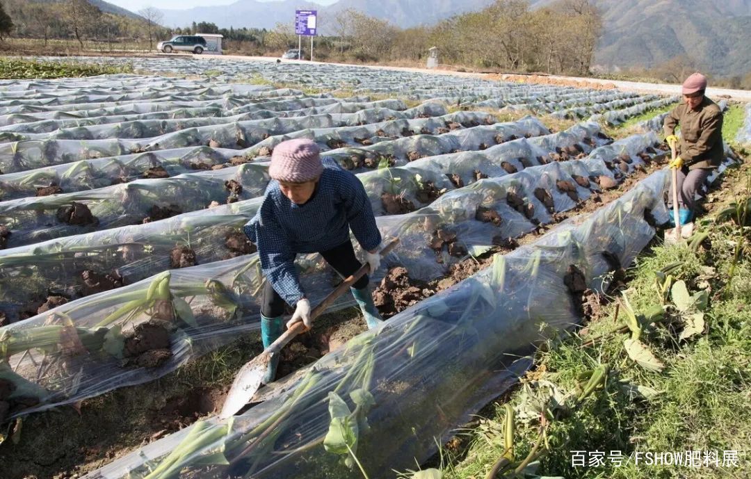 火山灾害的具体表现_火山爆发灾后饮食方面_火山灾害的利弊