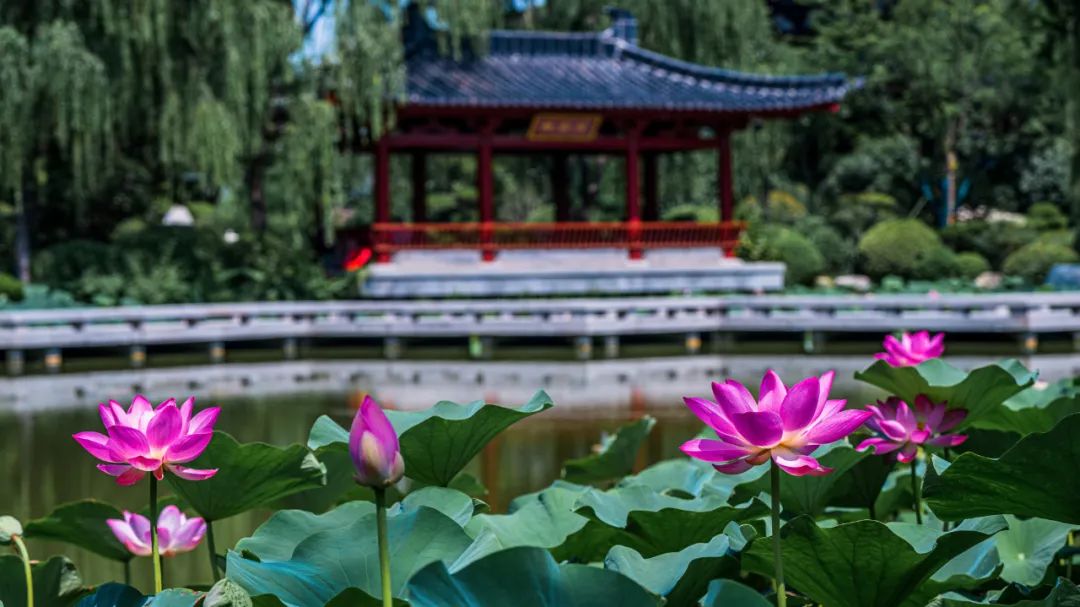 陕西生活频道节目表_陕西第一生活_陕西生活频道