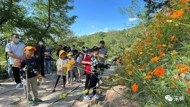 户外探索课程_户外活动探索_户外探索教育