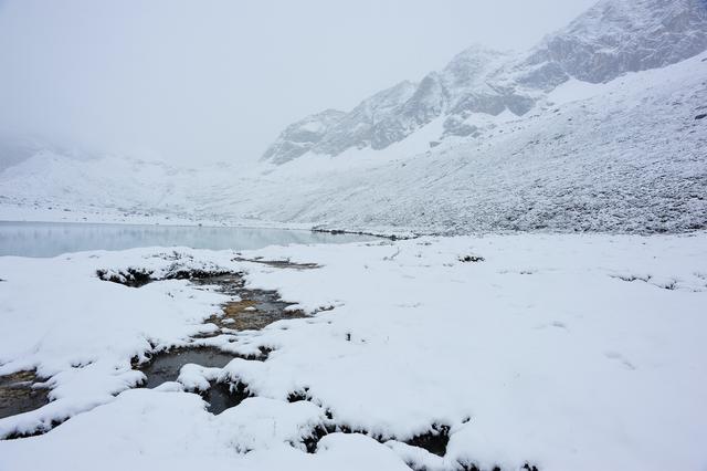 催泪情感美文，下雪了，让我们一起去流浪