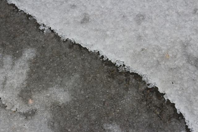 催泪情感美文，下雪了，让我们一起去流浪