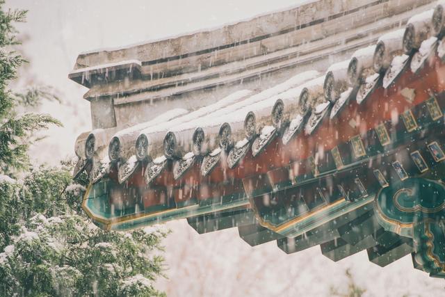 催泪情感美文，下雪了，让我们一起去流浪