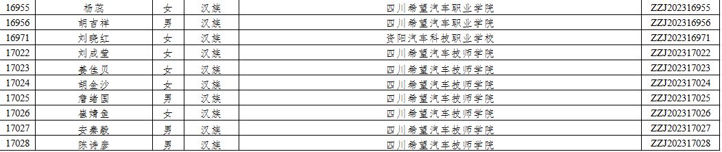 四川希望汽车职业学院_四川汽车职业技术学院新生群_四川汽车职业技术学院院系