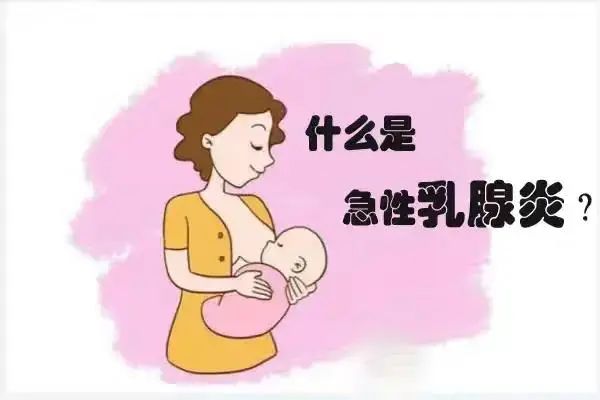 急性乳腺炎饮食-急性炎饮食乳腺会变小吗