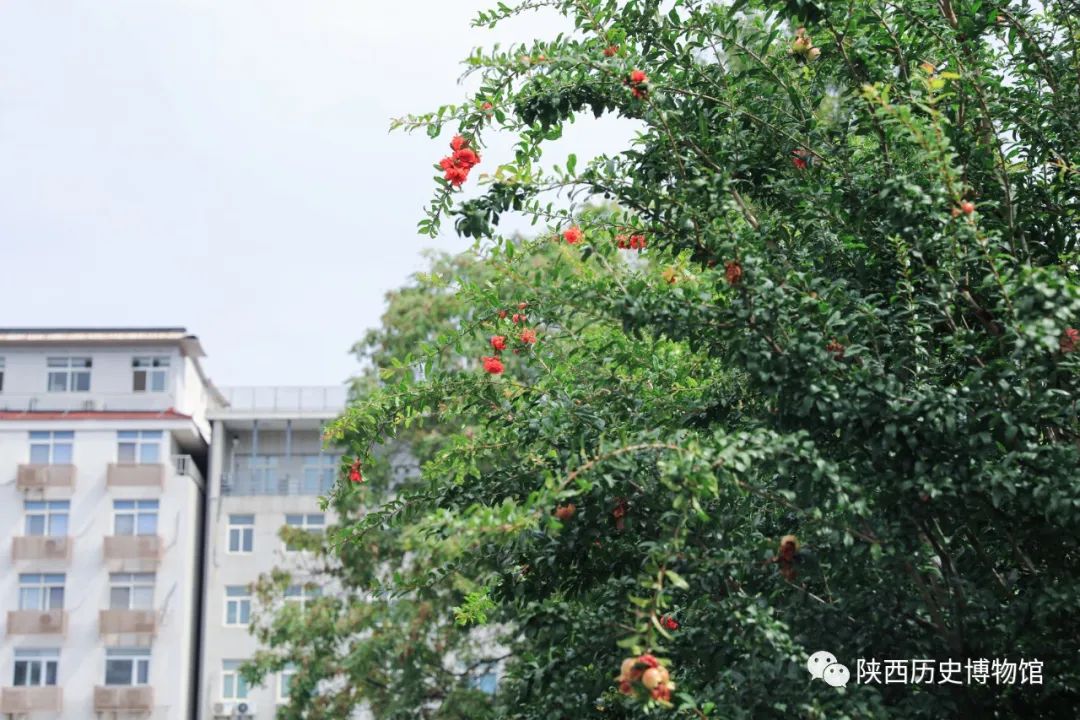 饮食图片古代-饮食古画