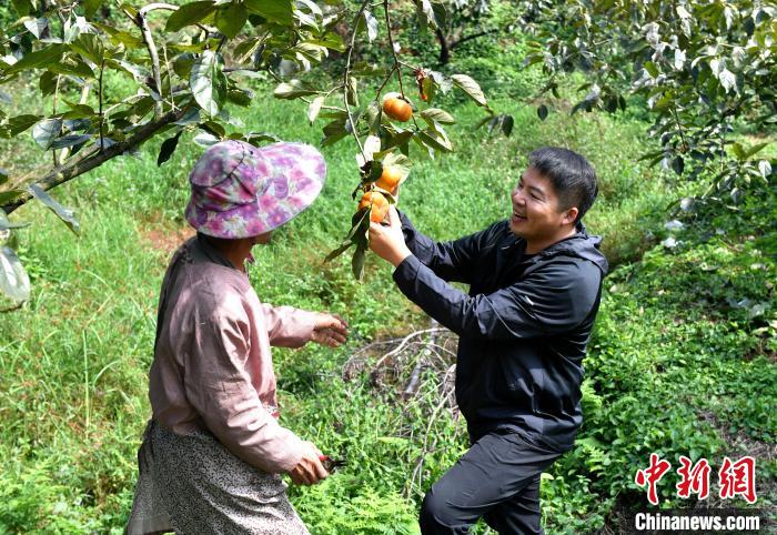 台一生态教育休闲农场-生态农场自然教育课程