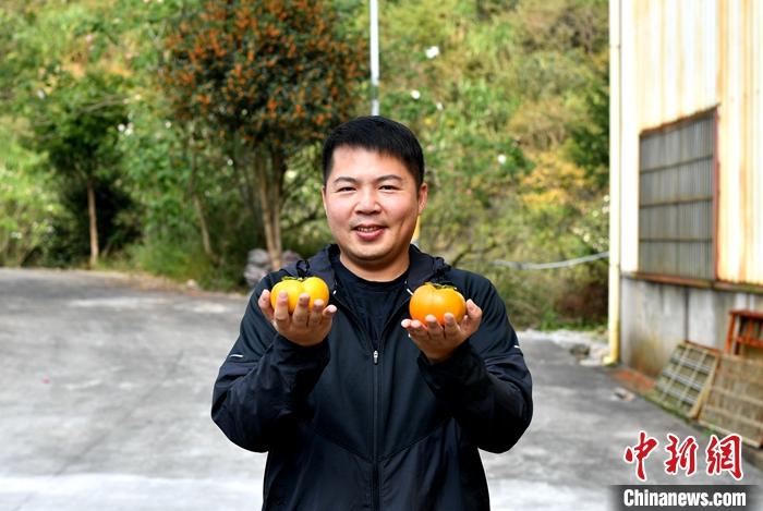 生态农场布局_生态农场自然教育课程_台一生态教育休闲农场