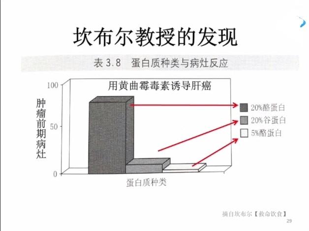 救命的饮食_救命饮食食谱_救命饮食这本书怎么样