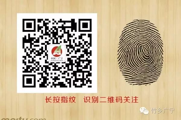 实践活动的简报_简报实践教育活动内容_教育实践活动简报