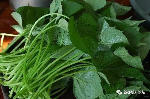 肝移植术后的饮食-移植肝饮食术后注意什么