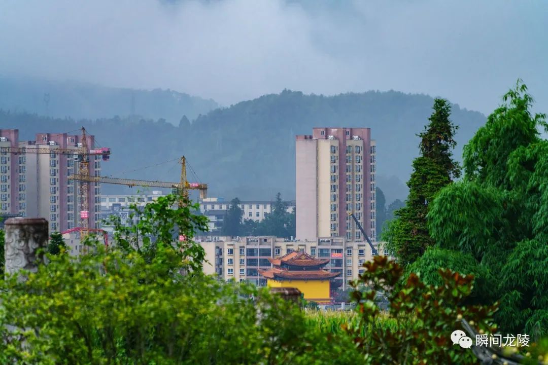 无风雨也无晴_也无风雨也无晴的情感_无风雨无晴什么意思