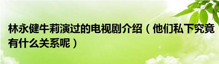 林永健情感电视剧-林永健主演的爱情电视剧大全