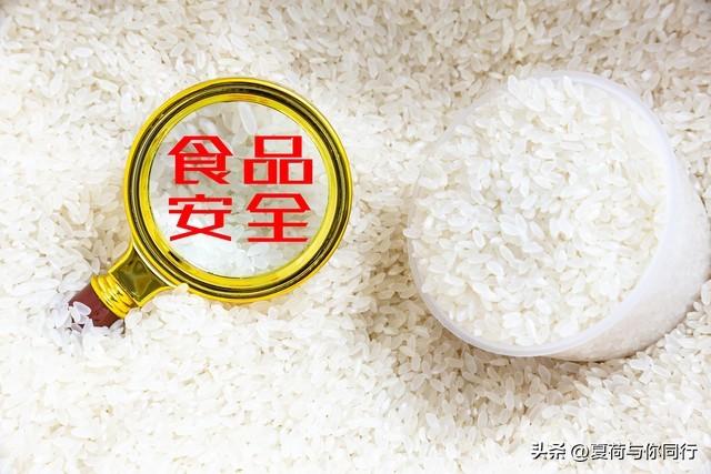 校园饮食安全措施_校园饮食安全的注意事项_饮食校园措施安全内容