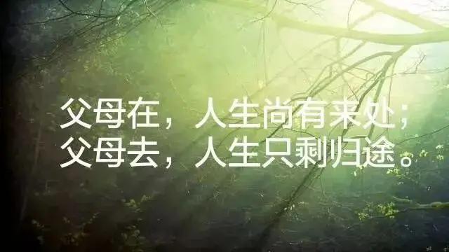 乡关何处情感-关于乡情