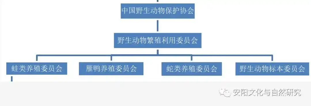 兴文 教育_兴文教育局电话_兴文教育局局长