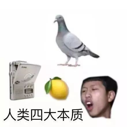 自嘲的情感句子_自嘲所要表达的情感_自嘲表达什么