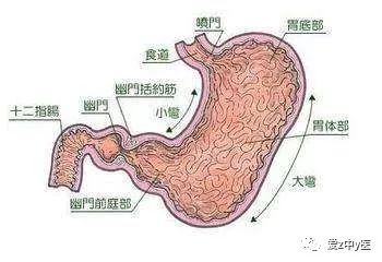 浅表性胃炎伴糜烂的饮食_浅表性胃炎伴糜烂饮食怎么吃_浅表胃炎伴糜烂饮食注意