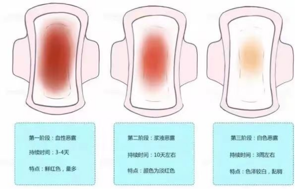 产后注意事项及饮食_产后的饮食注意事项_产后事项饮食注意哪些问题