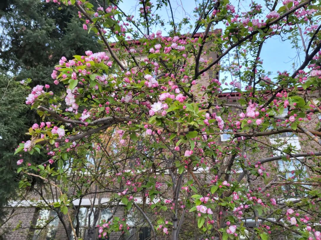 天津海河教育园区地图-天津市海河教育园区学校