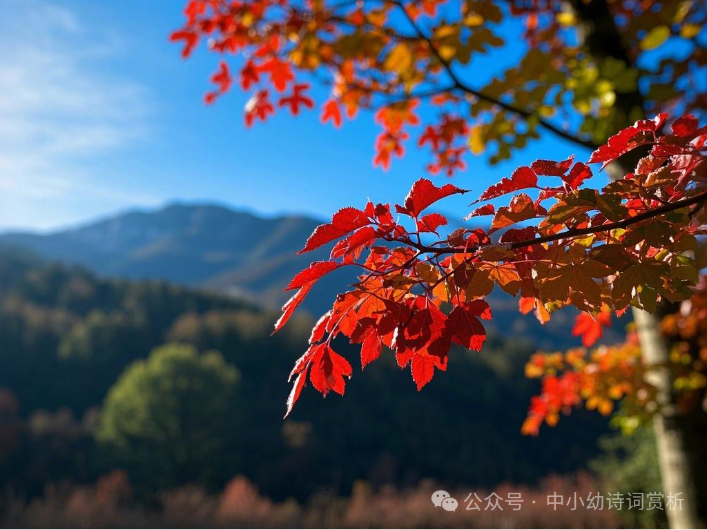 情感型f_山行的情感_情感践行者百家号