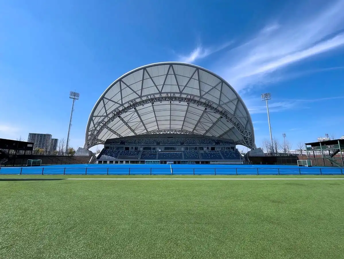 2025橄榄球世界杯_2020橄榄球冠军赛_2020年橄榄球锦标赛