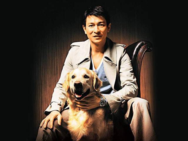 非洲刘德华歌曲有哪些_非洲刘德华 世界杯_刘德华非洲演唱会