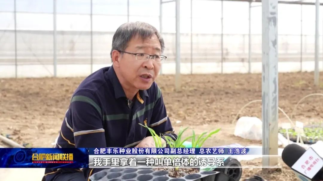 合肥科荣生物科技有限公司_合肥荣柯工程科技有限公司_合肥联荣科技有限公司