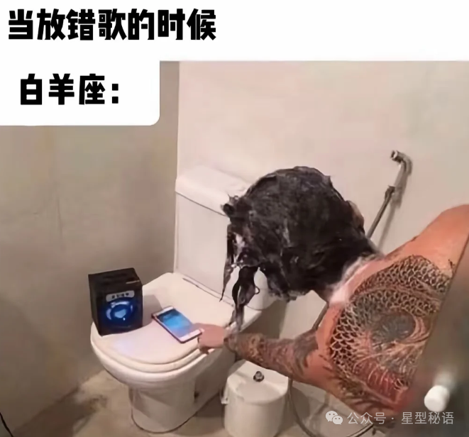 内倾感觉情感判断型-内倾感觉情感感知型
