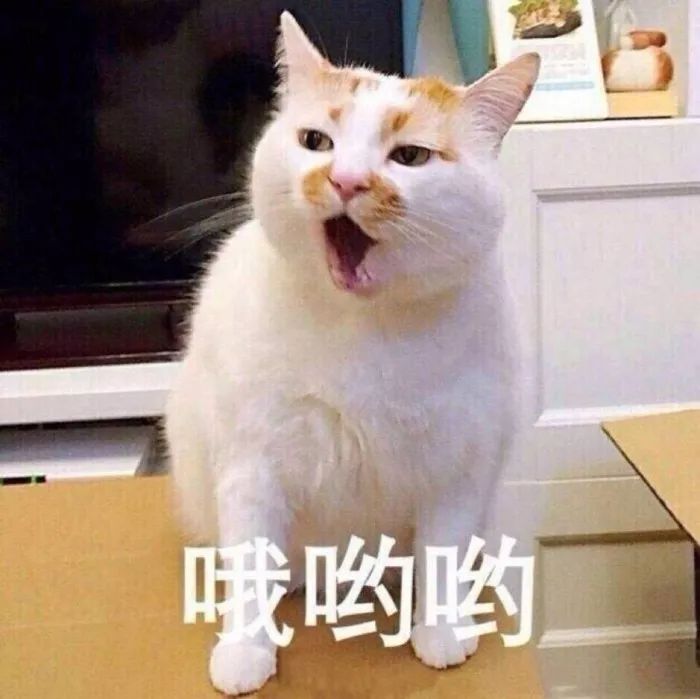 世界杯小游戏-世界杯比赛游戏