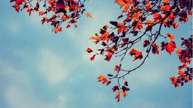 古人和今人的情感大概是相同的吧-古人与今人可以相通