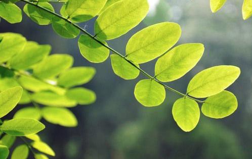 古人与今人可以相通_古人和今人的情感大概是相同的吧_古今人相及的内涵