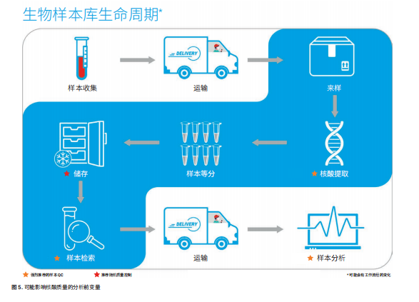 安捷伦科技2100生化分析仪-安捷伦2100检测原理