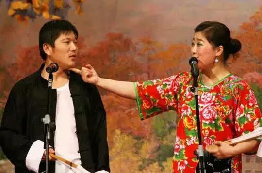 电视剧夫妻档扮演者_农村情感电视剧大全集_乡村爱情演员夫妻关系