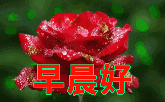 情感图片大全带字-清晨早安祝福语