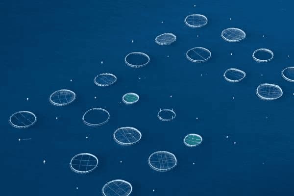 2025世界杯西班牙战绩-2022世界杯西班牙阵容名单