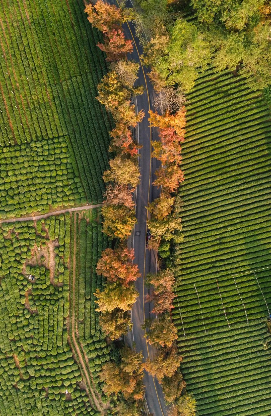 公路旅行奇遇_中国最美公路摄影_情感意境道路图片