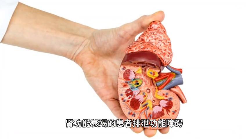 血肌肝增高 饮食注意事项 肾功能衰竭饮食控制_心衰、肾衰竭饮食