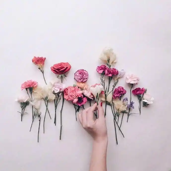 心语情感公司曝光_细节体现真爱_爱情价值观